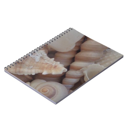 Carnet Coquillages d'été ensoleillés, Sea Shell Beach Lov (Côté gauche)