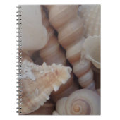 Carnet Coquillages d'été ensoleillés, Sea Shell Beach Lov (Devant)