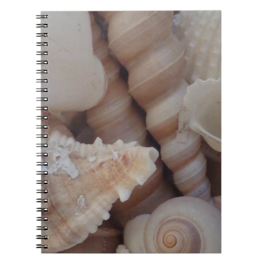 Carnet Coquillages d'été ensoleillés, Sea Shell Beach Lov (Devant)