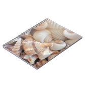 Carnet Coquillages d'été ensoleillés, Sea Shells Beach Lo (Côté gauche)