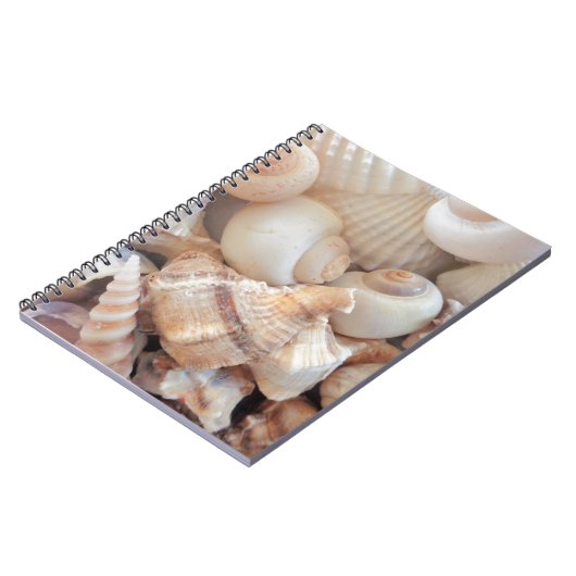 Carnet Coquillages d'été ensoleillés, Sea Shells Beach Lo (Côté gauche)