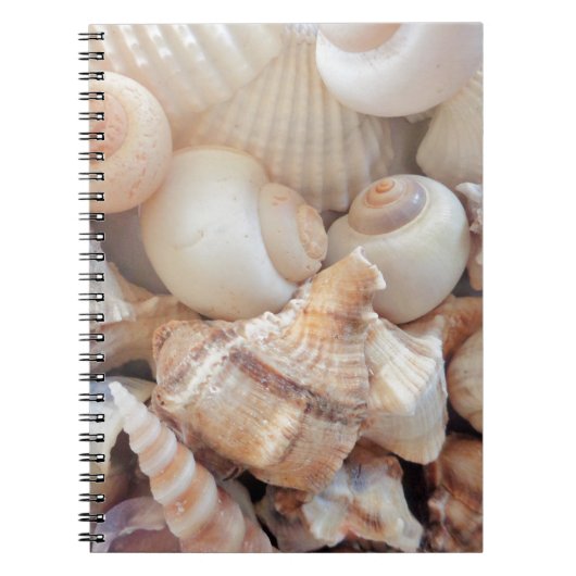 Carnet Coquillages d'été ensoleillés, Sea Shells Beach Lo (Devant)