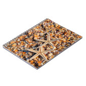 Carnet Coquillages et écrevisses (Côté gauche)