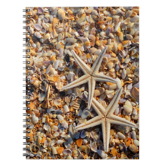 Carnet Coquillages et écrevisses (Devant)