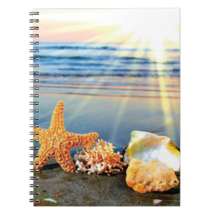 Carnet Coquillages marins et étoiles de mer sur la plage