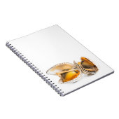 Carnet Coquille (Côté Droit)