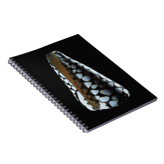 Carnet Coquille 2 de cône (Côté Droit)