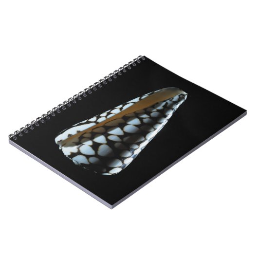 Carnet Coquille 2 de cône (Côté gauche)