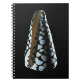 Carnet Coquille 2 de cône (Devant)