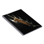 Carnet Coquille de conque (Côté Droit)