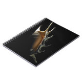 Carnet Coquille de conque (Côté gauche)