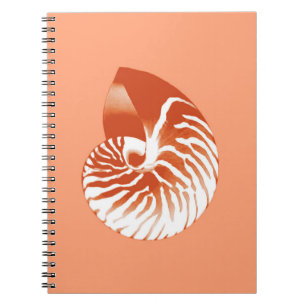 Carnet Coquille de Nautilus - terre cuite et blanc