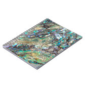 Carnet Coquille de paua de reine (Côté gauche)