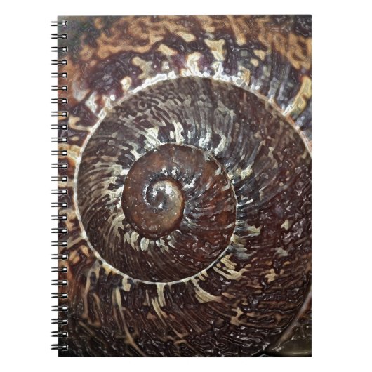 Carnet Coquille d'escargot (Devant)