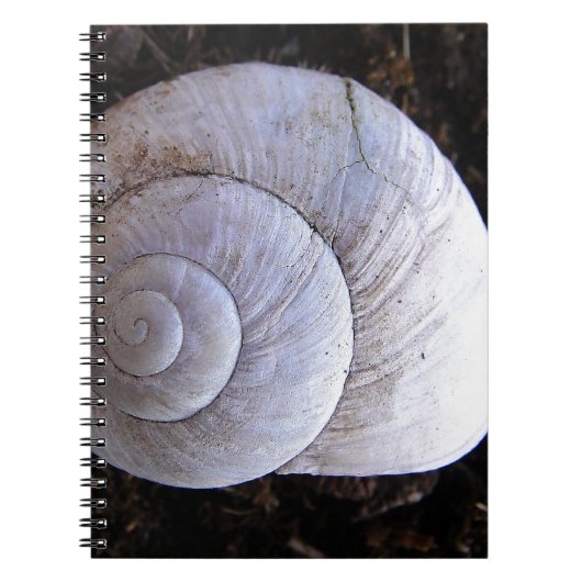 Carnet Coquille d'escargot cool (Devant)