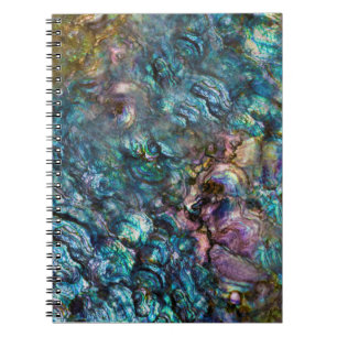 Carnet Coquille d'ormeau iridescente arc-en-ciel