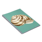 Carnet Coquille striée Sepia sur Turquoise (Côté Droit)