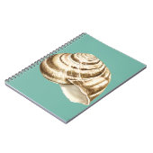 Carnet Coquille striée Sepia sur Turquoise (Côté gauche)