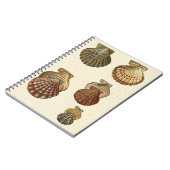 Carnet Coquilles antiques craquelées (Côté gauche)