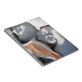 Carnet Coquilles de Conque de Près (Côté Droit)