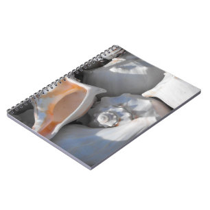 Carnet Coquilles de Conque de Près
