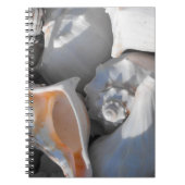 Carnet Coquilles de Conque de Près (Devant)