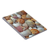 Carnet Coquilles de mer (Côté Droit)