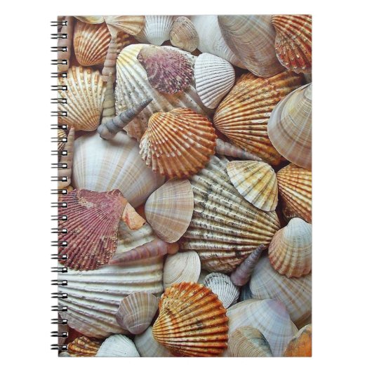 Carnet Coquilles de mer (Devant)