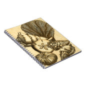 Carnet Coquilles neutres et collection de corail (Côté Droit)