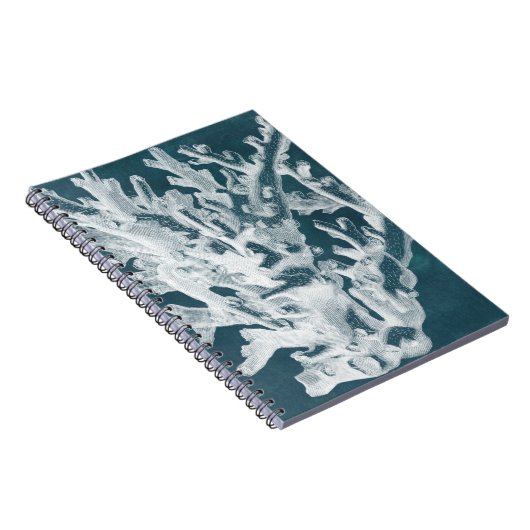 Carnet Corail azur I (Côté Droit)