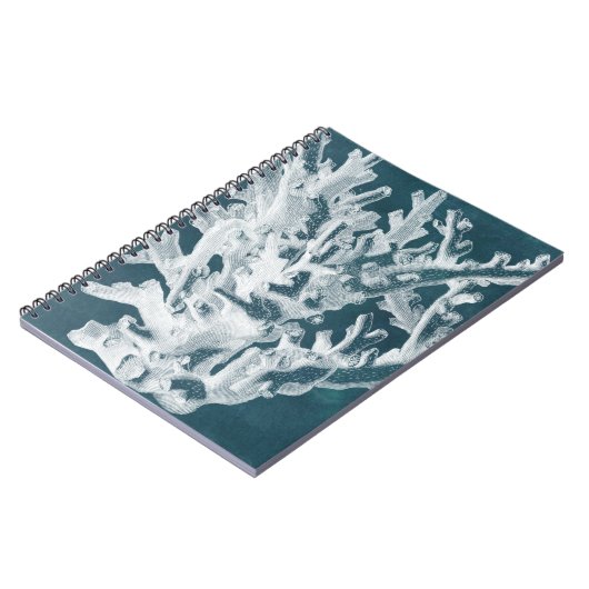 Carnet Corail azur I (Côté gauche)