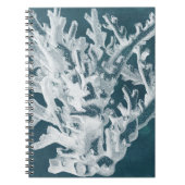 Carnet Corail azur I (Devant)