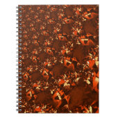 Carnet Corail brun brillant et semblable au relief (Devant)