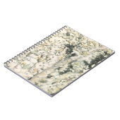 Carnet Corail d'aquarelle antique (Côté gauche)