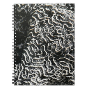Carnet Corail noir et blanc I Photo de nature abstraite