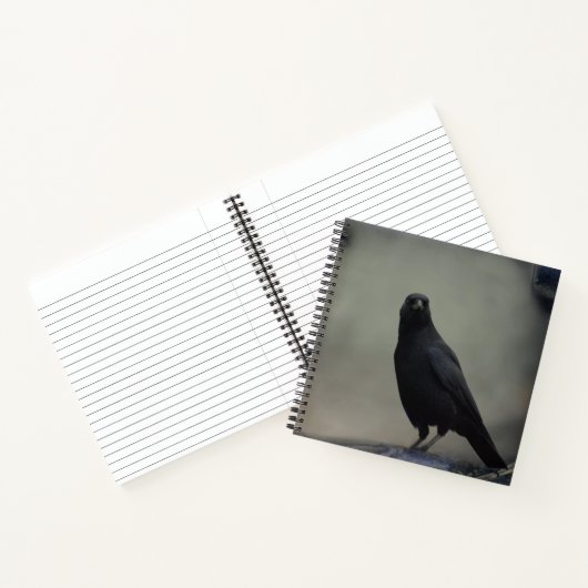 Carnet Corbeau foncé (Intérieur)