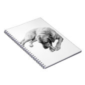 Carnet Corde et réflexion (Côté Droit)