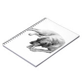 Carnet Corde et réflexion (Côté gauche)