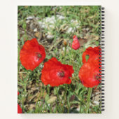 Carnet Corfou Red Poppies (Dos)
