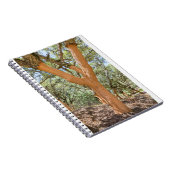 Carnet Cork en Algarve portugaise.JPG (Côté Droit)