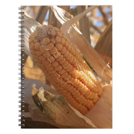 Carnet Corne de campagne d'automne sur Stalk (Devant)