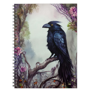 Carnet Corneille noire en Westiera