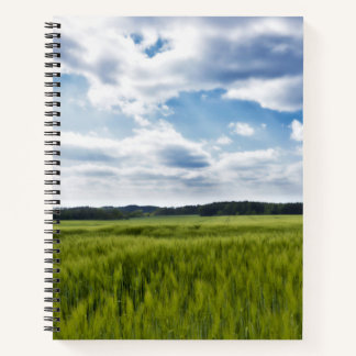 Carnet Corneilles vertes et ciels bleus