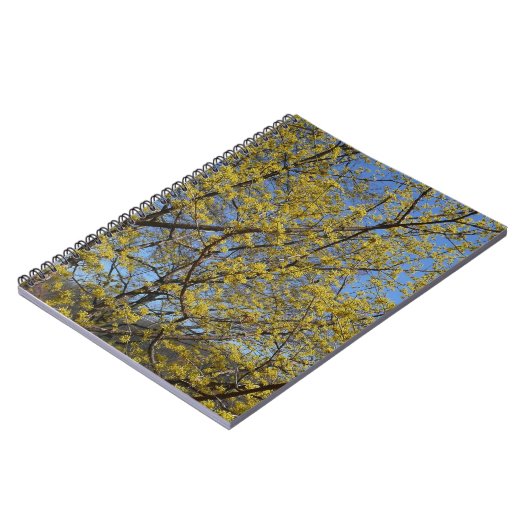 Carnet Cornelian Cherry (Côté gauche)