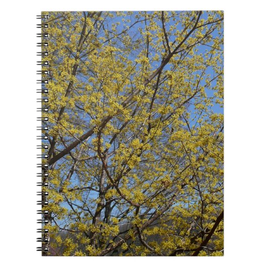 Carnet Cornelian Cherry (Devant)