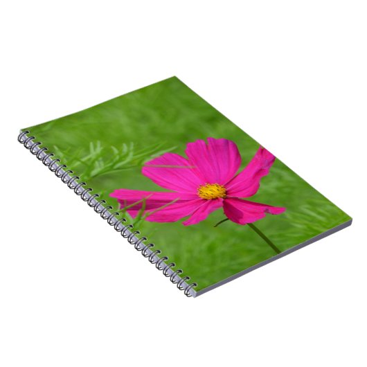 Carnet Cosmos (Côté Droit)