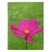 Carnet Cosmos (Devant)