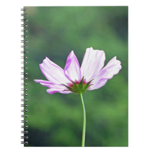 Carnet Cosmos