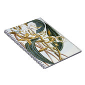 Carnet Cosses de vanille, plat 65, de 'collection (Côté Droit)