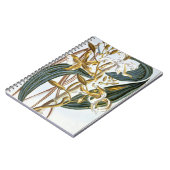 Carnet Cosses de vanille, plat 65, de 'collection (Côté gauche)